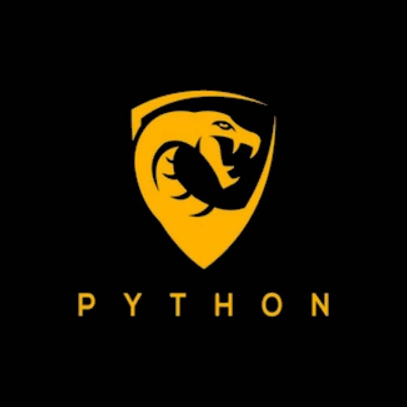 PYTHON OTT 12 Mois